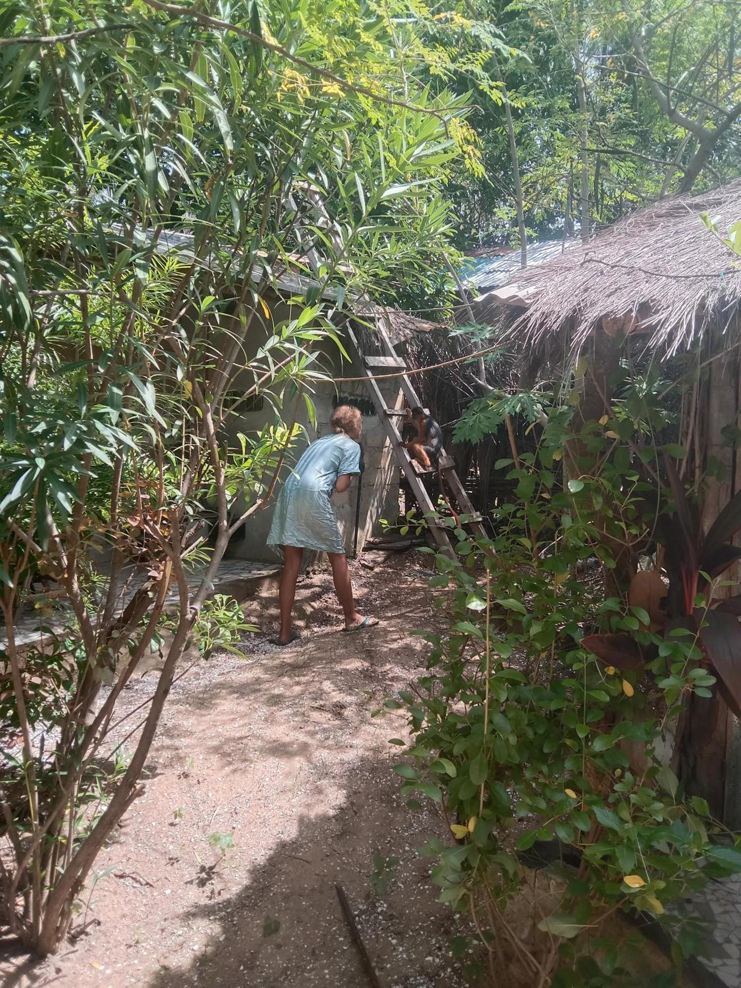 Chez Bethy & Baboulaye Jungle Et Ocean Vila Abémé Exterior foto